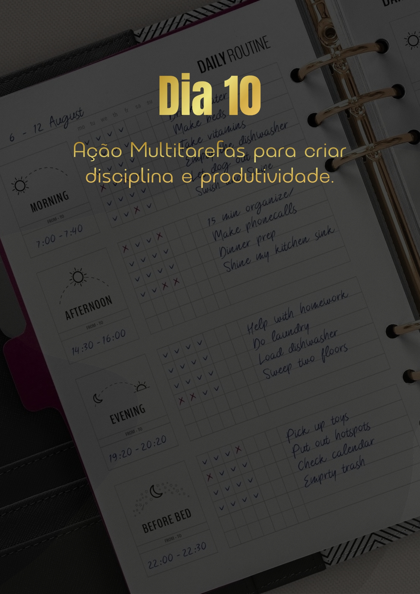 Desafio de 40 dias para a sua Transformação - 43