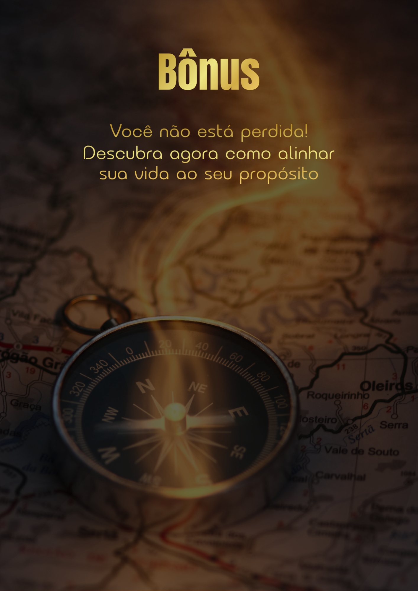 Bônus propósito e ações