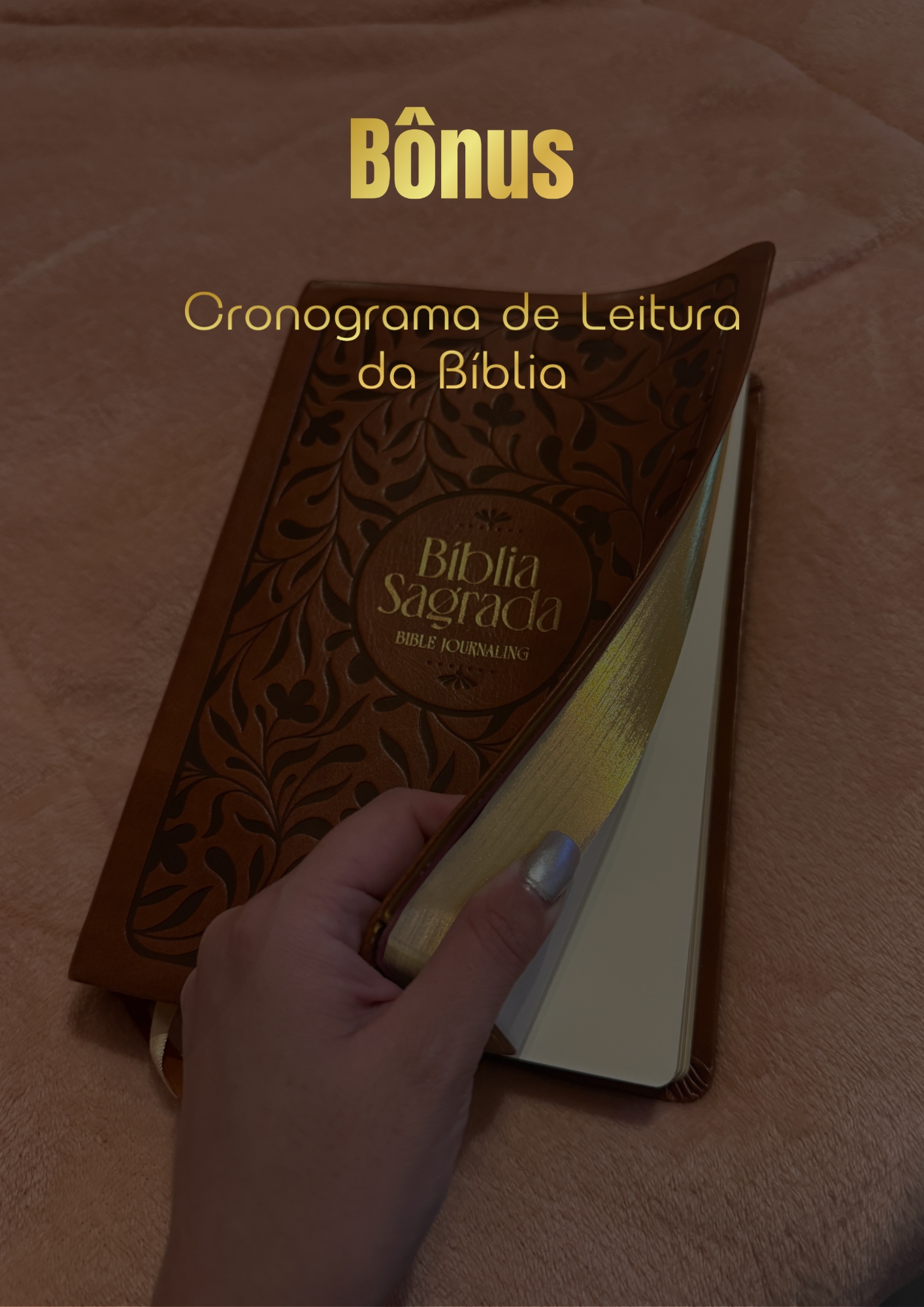 Cronograma Leitura Bíblia - Tradicional