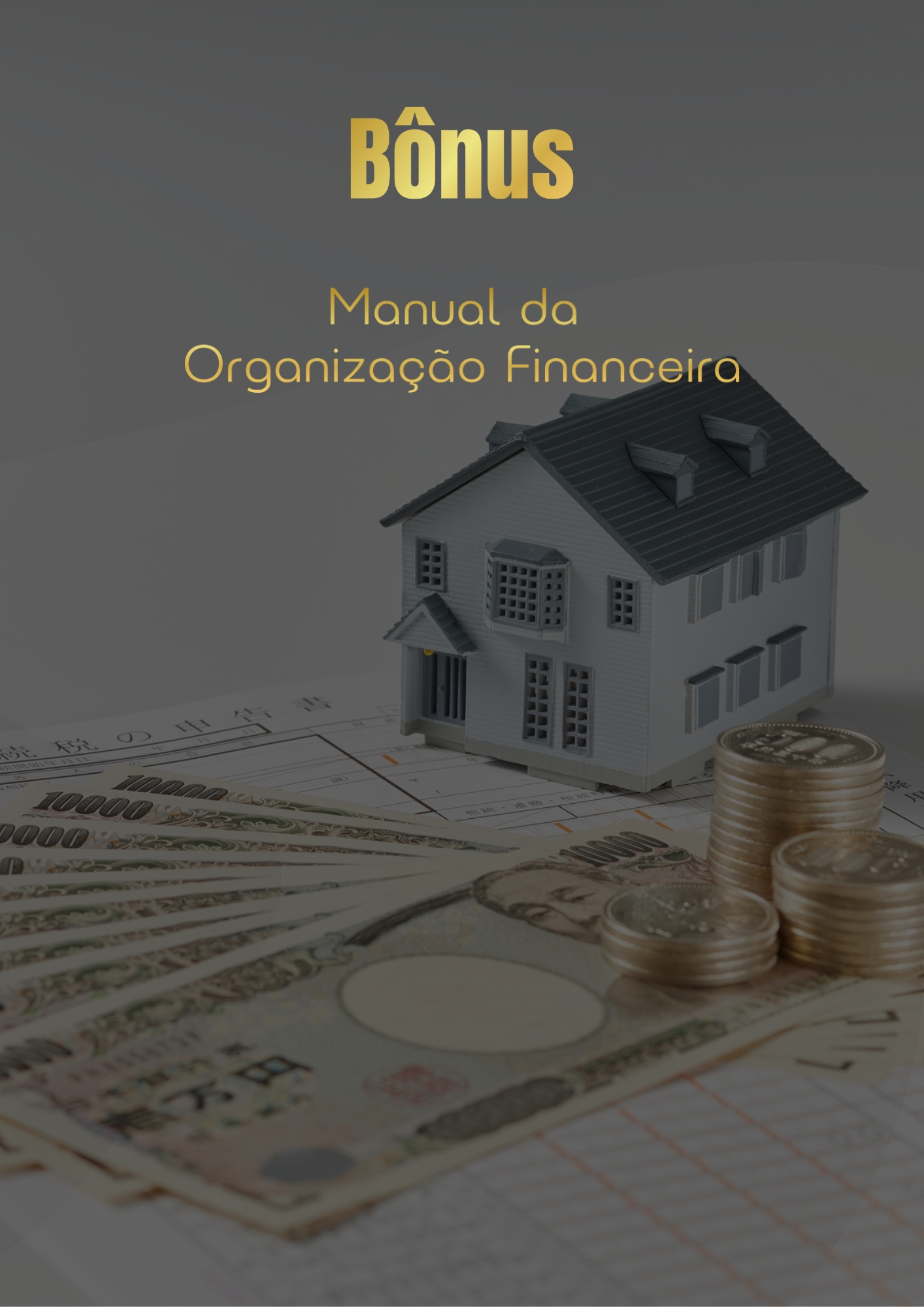 Manual da Organização Financeira - Desafio 40 dias